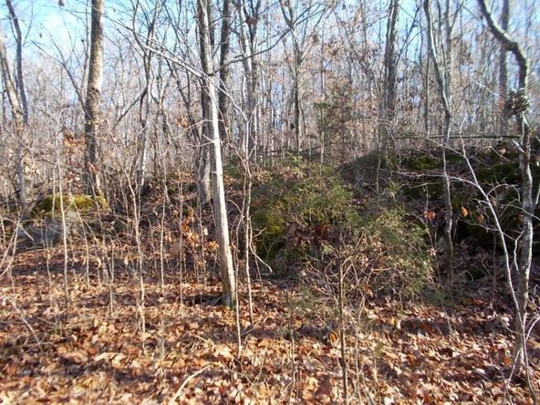 414 Doane Rd, New Market, TN 37820